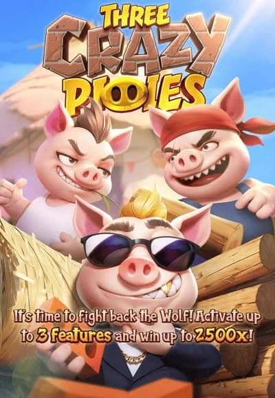 Three Crazy Piggies